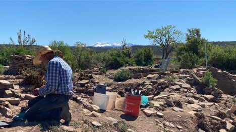 Excavation at Wallace Ruin, an Ancestral Pueblo Great House